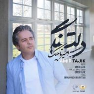 دانلود آهنگ جدید امیر تاجیک به نام دلتنگی دانلود آهنگ جدید امیر تاجیک به نام دلتنگی